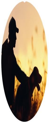 DNSA18-311 Gone Hunting (Dog)